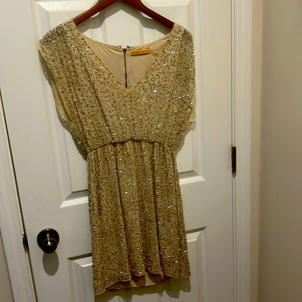 Alive and Olivia size small beaded dress